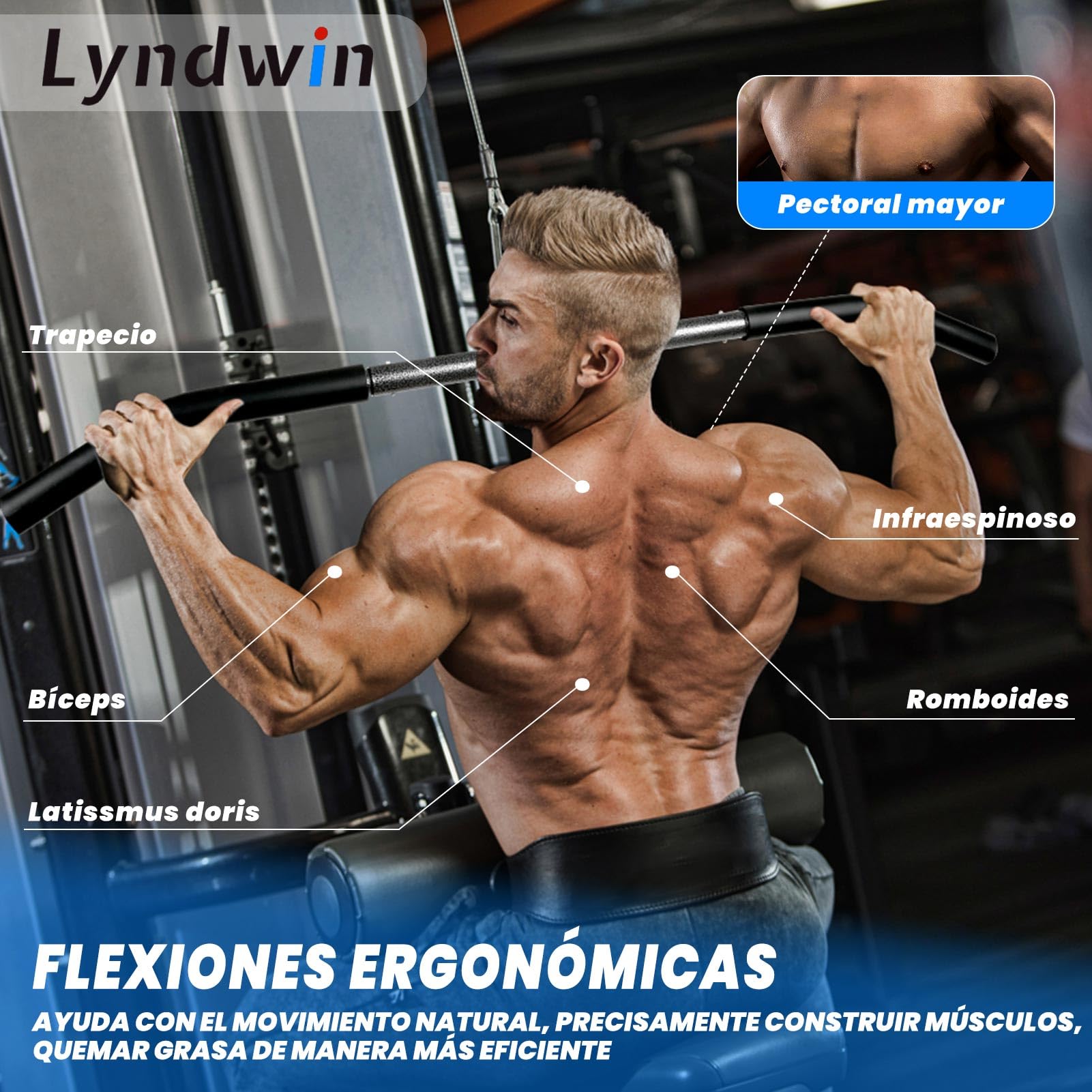 Barra Polea, Barra Gimnasio per Polea Espalda Dorsal Triceps Bíceps Musculacion con Mosquetón, Agarres Poleas Gym Barra Jalon al Pecho de Acero Negro Lat Pull Down Bar Desmontable