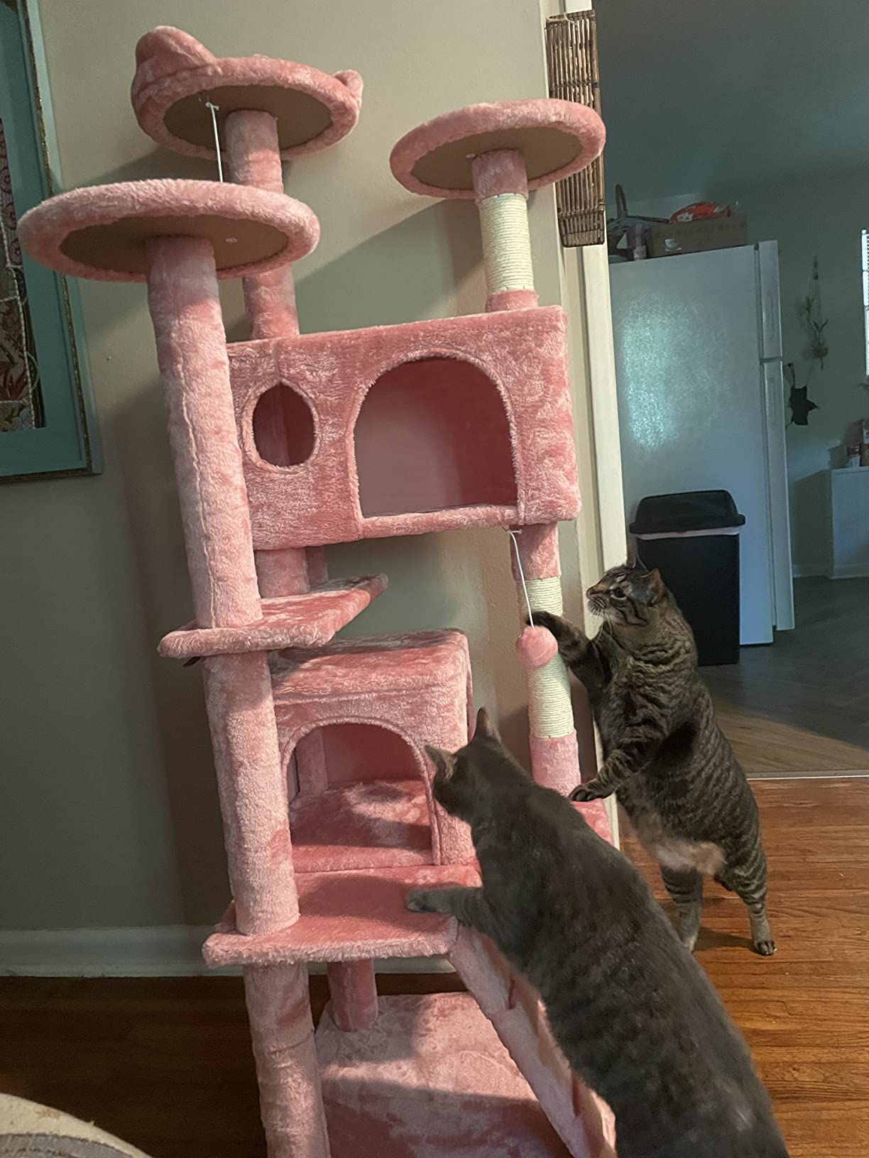 11/mo Finance Yaheetech 54in Cat Tree Tower Condo Furniture Scratch