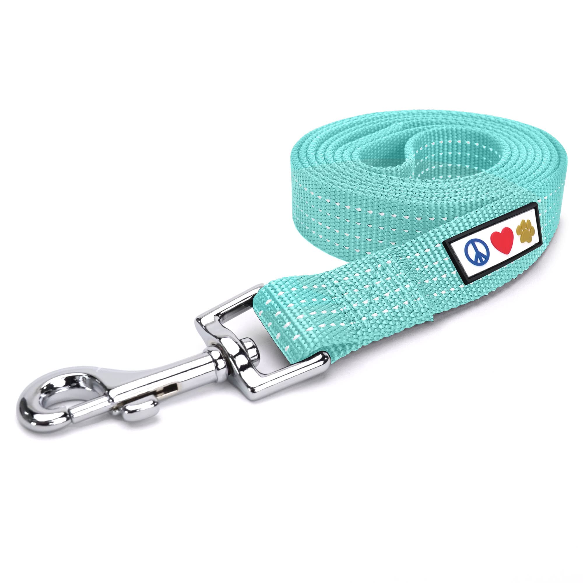 Pawtitas Teal Dog Leash 6 ft XS/S Reflective Durable Lightweight Dog Lead for Small Dogs and Puppies