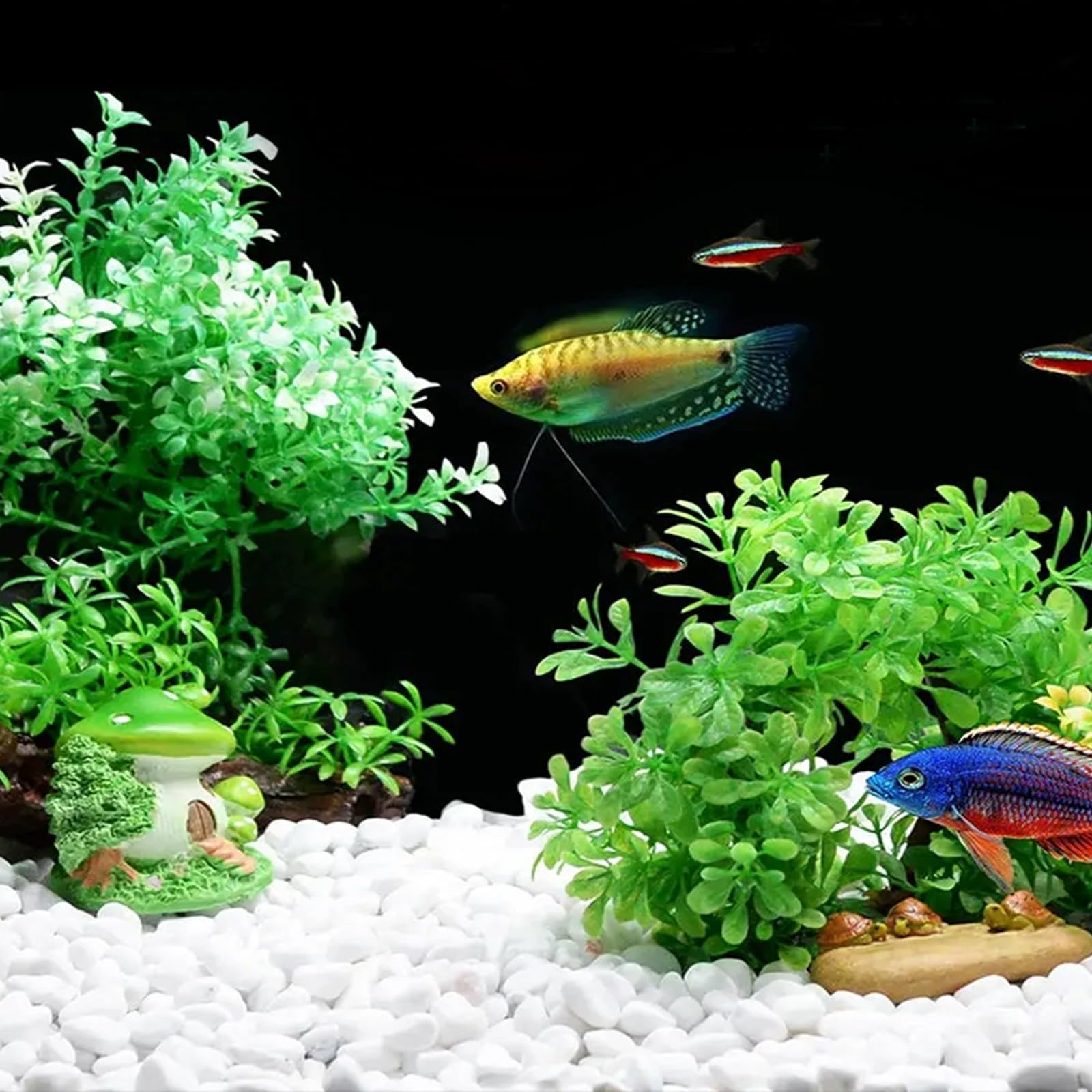 PLANTES POUR AQUARIUM Arbre D'aménagement Paysager D'aquarium EUR 20,45 - PicClick FR