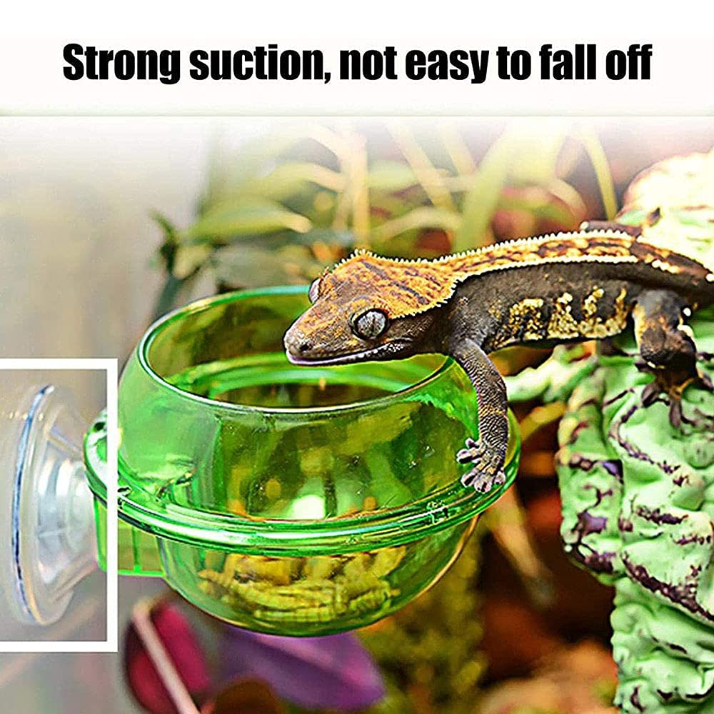 2-in-1 Mangiatoia E Bevitore Per Rettili Con Ventosa - Per Gechi, Lucertole, Tartarughe E Anfibi