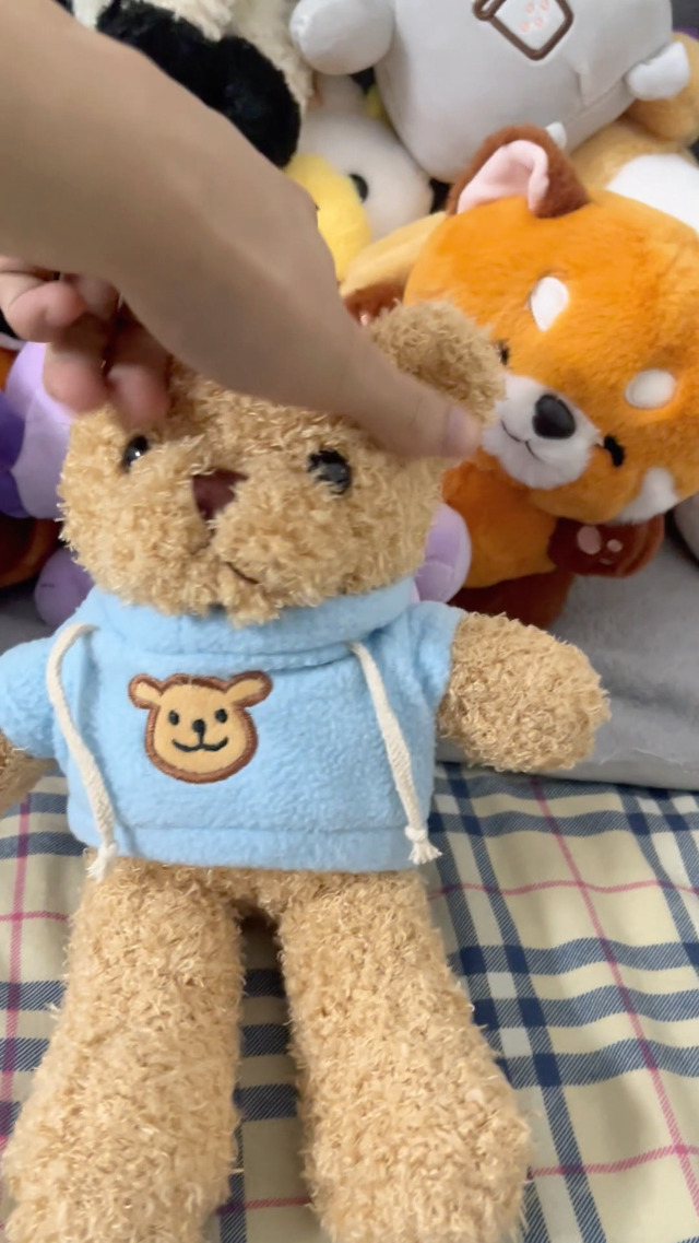 Amazon.com: YUKOUQIAN Teddy Bear Stuffed Animal Cute Plush Doll