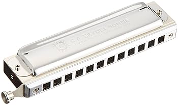 Amazon.com: Seydel Chromatic De Luxe C-refurbished Harmonica