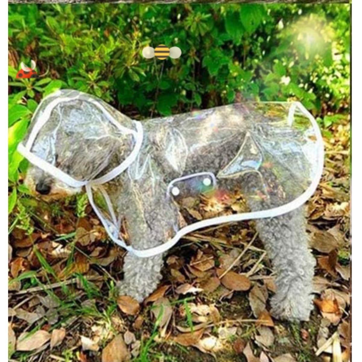 Imperméable pour Chien, Poncho de Pluie en PVC Transparent, Chien à Capuche, Vêtements de Pluie, Taille 52 cm