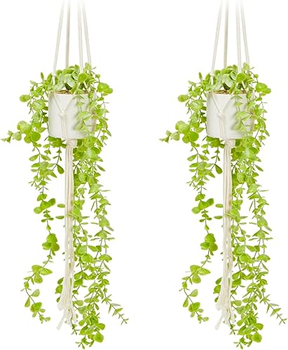 Juvale Paquete de 2 plantas colgantes artificiales de eucalipto con colgador de macramé y maceta de cerámica blanca para decoración del hogar (31