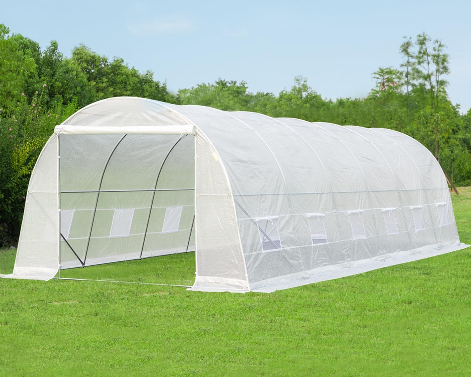 EROMMY Mini Walk-in Greenhouse,Indoor Outdoor Plant Gardening, 2 Tier 6 Shelves Hot House for Flowers, Plants and Vegetables