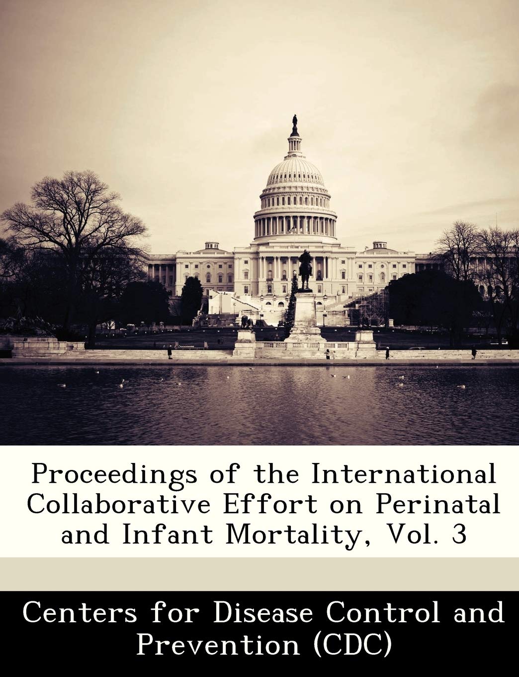 Proceedings of the International Collaborative Effort on Perinatal and Infant Mortality, Vol. 3