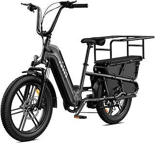 TST Elektrofahrrad für Erwachsene E Bike mit 20" Fat Reifen & Heckgepäckträger, Lasten E Bike 48V 15Ah Akku 250W Motor 60km Maxi Reichweite 204kg Zuladung, App-Steuerung, Federung,Tiefer Einstieg