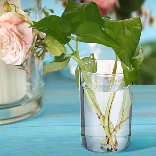 Miniatura 7 de Crtiin Paquete de 10 soportes de acrílico transparente para bolígrafos, brochas de maquillaje, soporte redondo para lápices, organizadores de