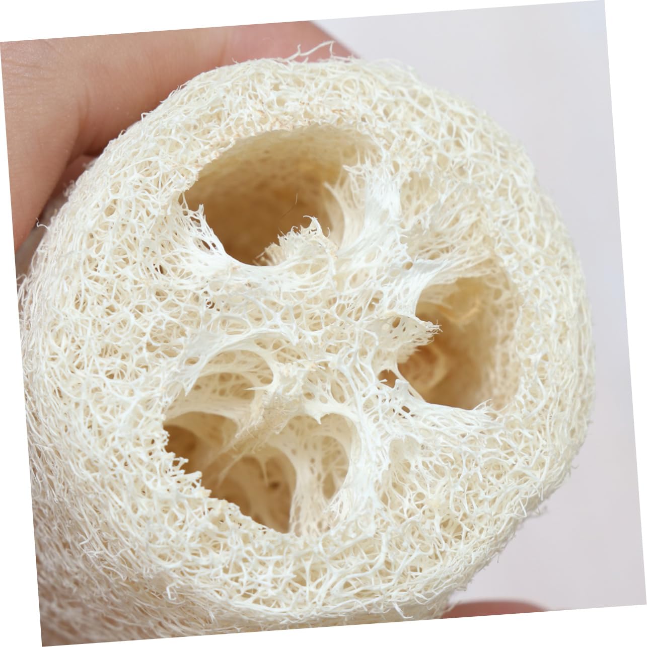 HAPINARY Natural Loofah Long Handled Brush for Water Bottle Easy to Clean Tea Cups Jars Comfortable Grip