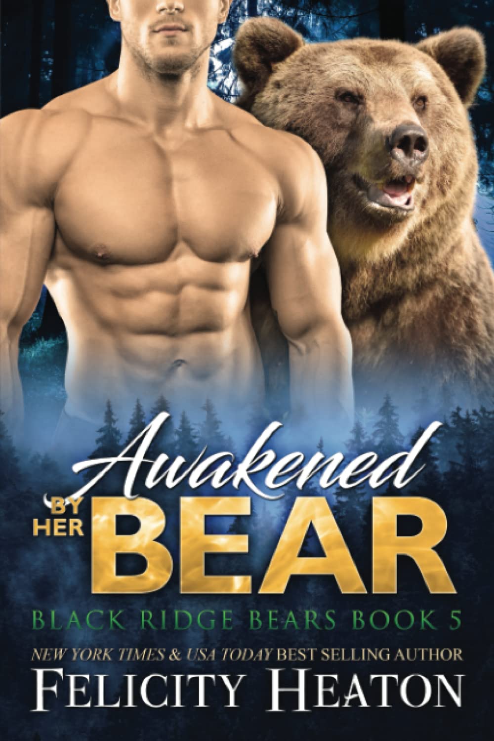 Awakened by her Bear: 5 (Black Ridge Bears Shifter Romance Series)