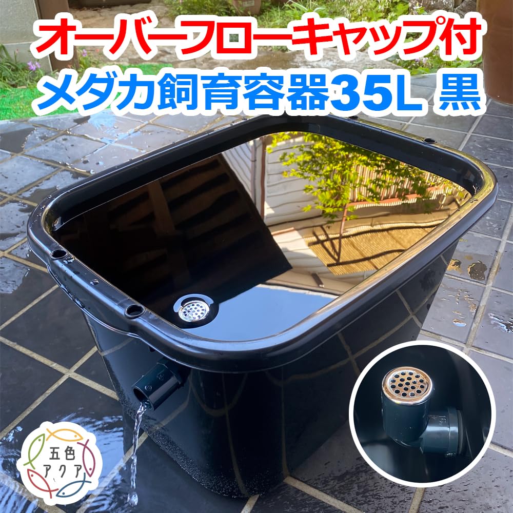 メダカ飼育ケース 35㍑黒x5個 オーバーフローキャップ加工済 金魚飼育容器 Amazon | 五色アクア メダカ飼育容器 35リットル 黒