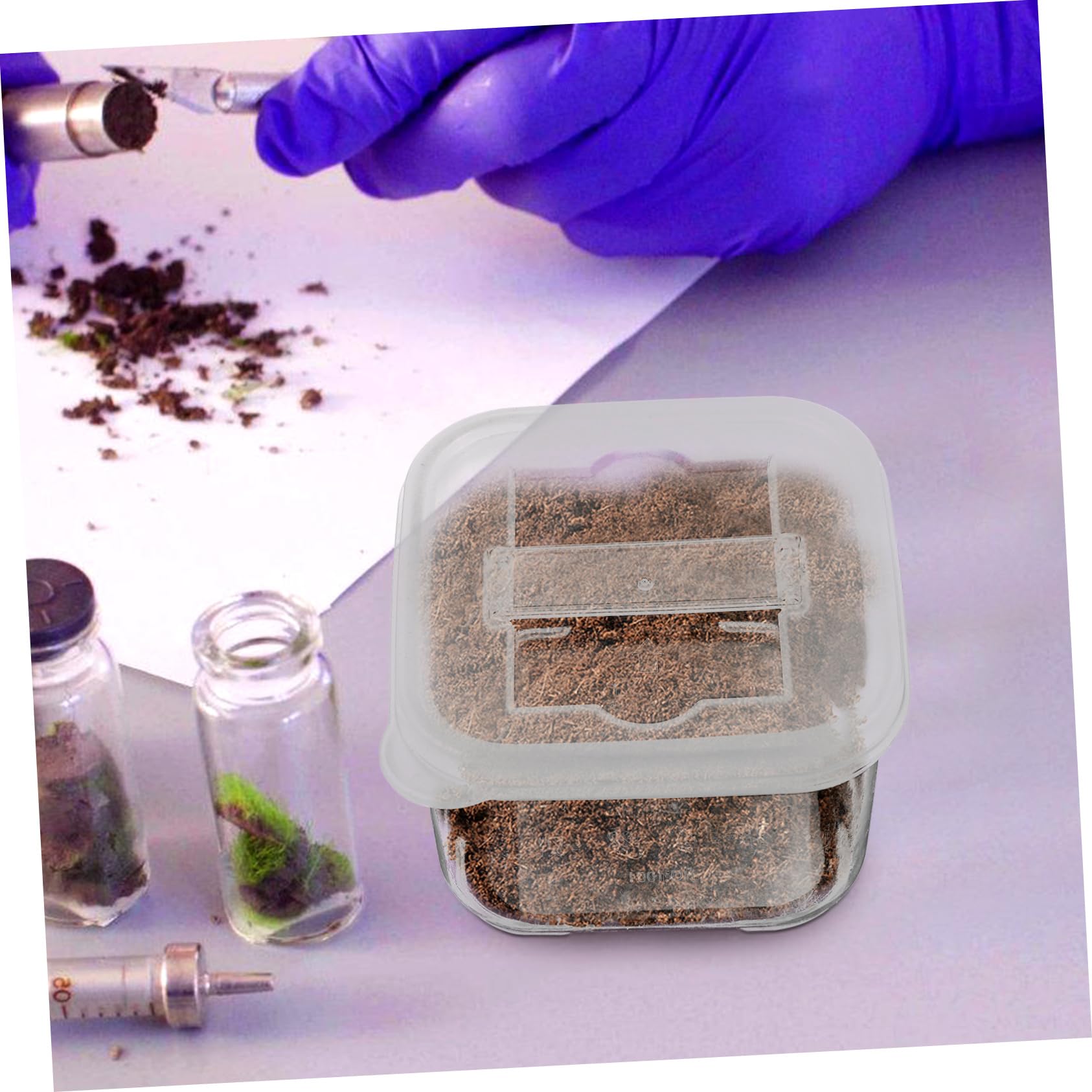 SOLUSTRE 20pièces Conteneurs De Prélèvement Boîtes De Rangement Avec Couvercle Et Étiquettes Pour Échantillons De Laboratoire Et Aliments