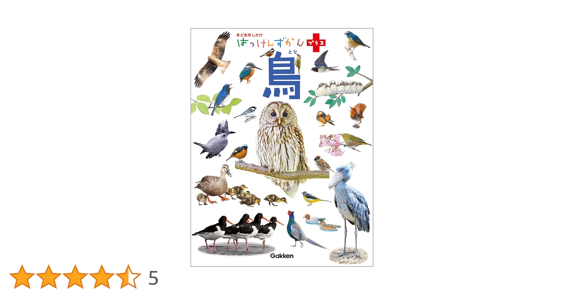 鳥: まどあきしかけ (はっけんずかんプラス) | 上田恵介, おお
