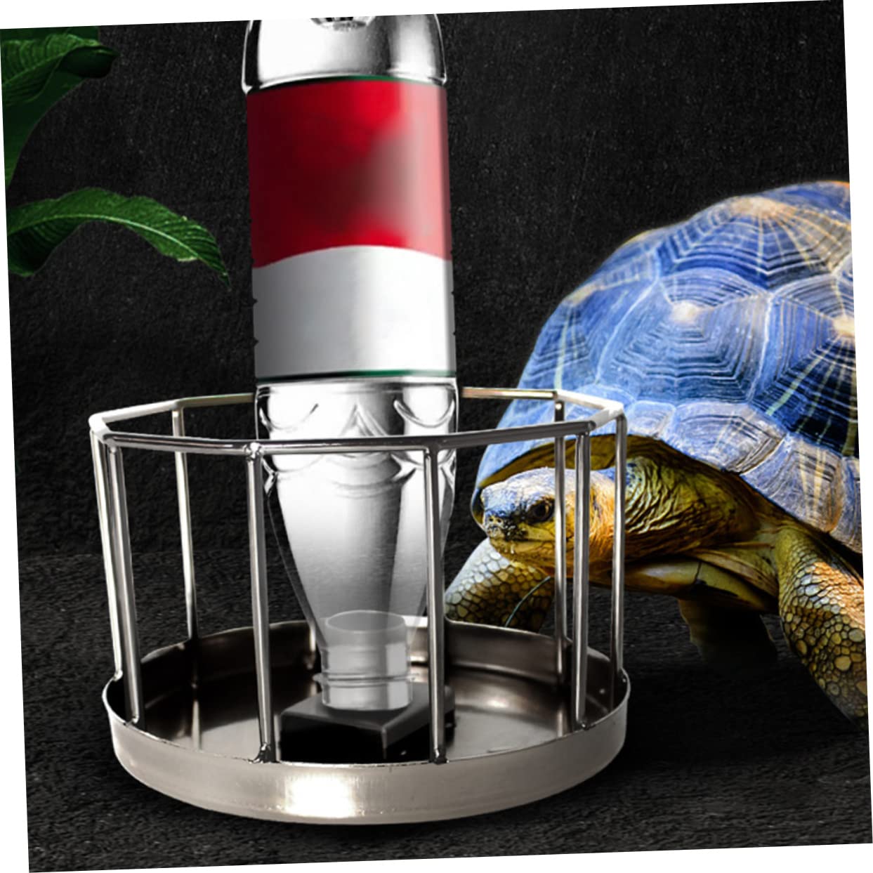 Happyyami Stal Nierdzewna Automatyczny Poidełko Dla Gadów Miska Do Picia Dla Żółwi i Jaszczurek Łatwa Czyszczeniu Idealna Do Terrarium Mała Srebrna