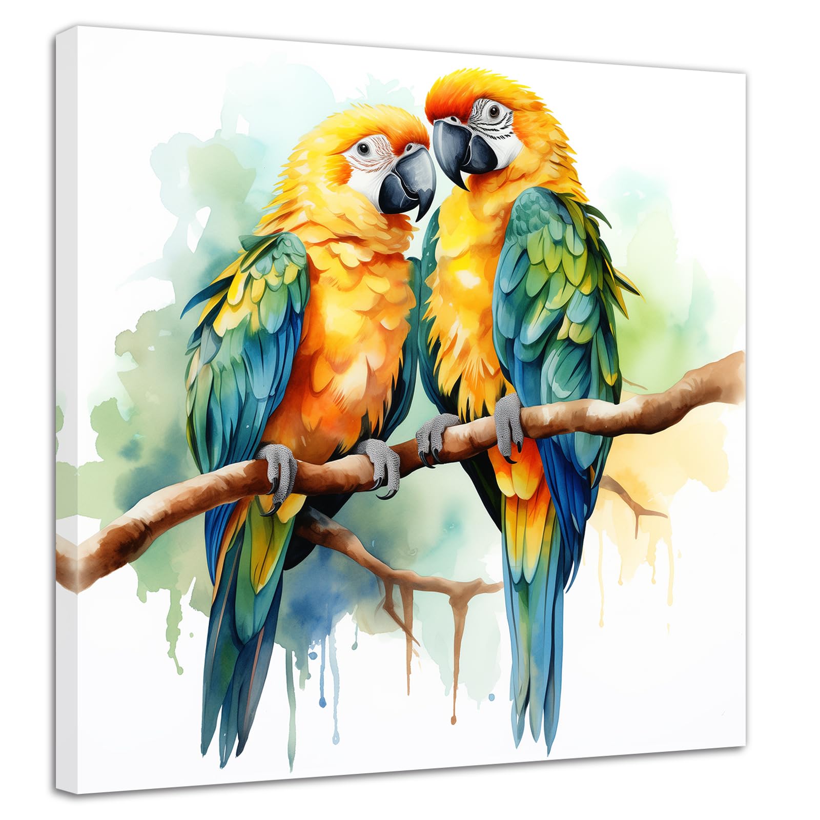 コンゴウインコの壁掛けインテリア Amazon.co.jp: ZXHYWYM