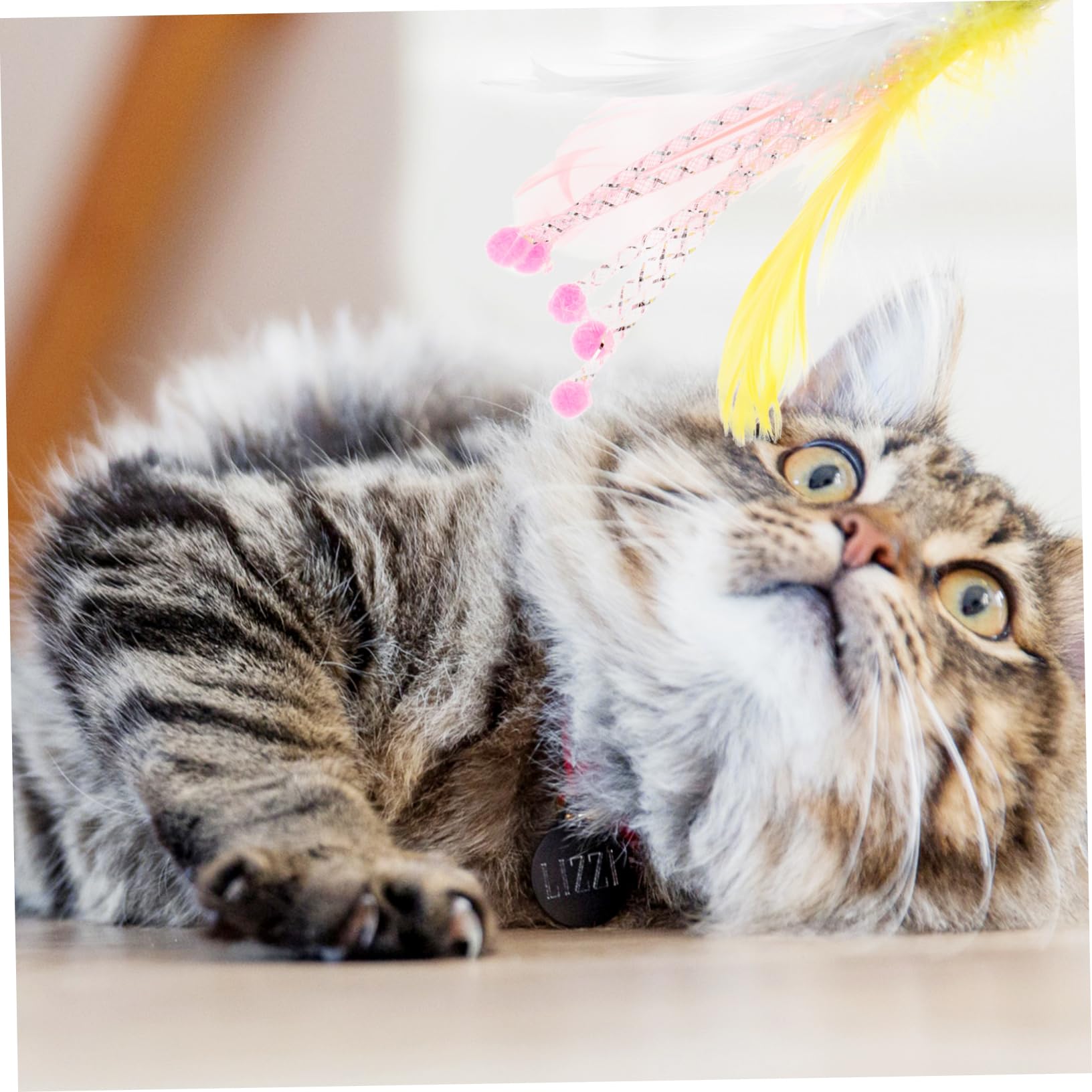 POPETPOP 40pezzi Giochi Interattivi Per Gatti Da Piume Di Ricambio Per Cannette Stimola Comportamento e Abilità Fisiche Giocattoli Duraturi Per Gatti Di Tutte Le Età