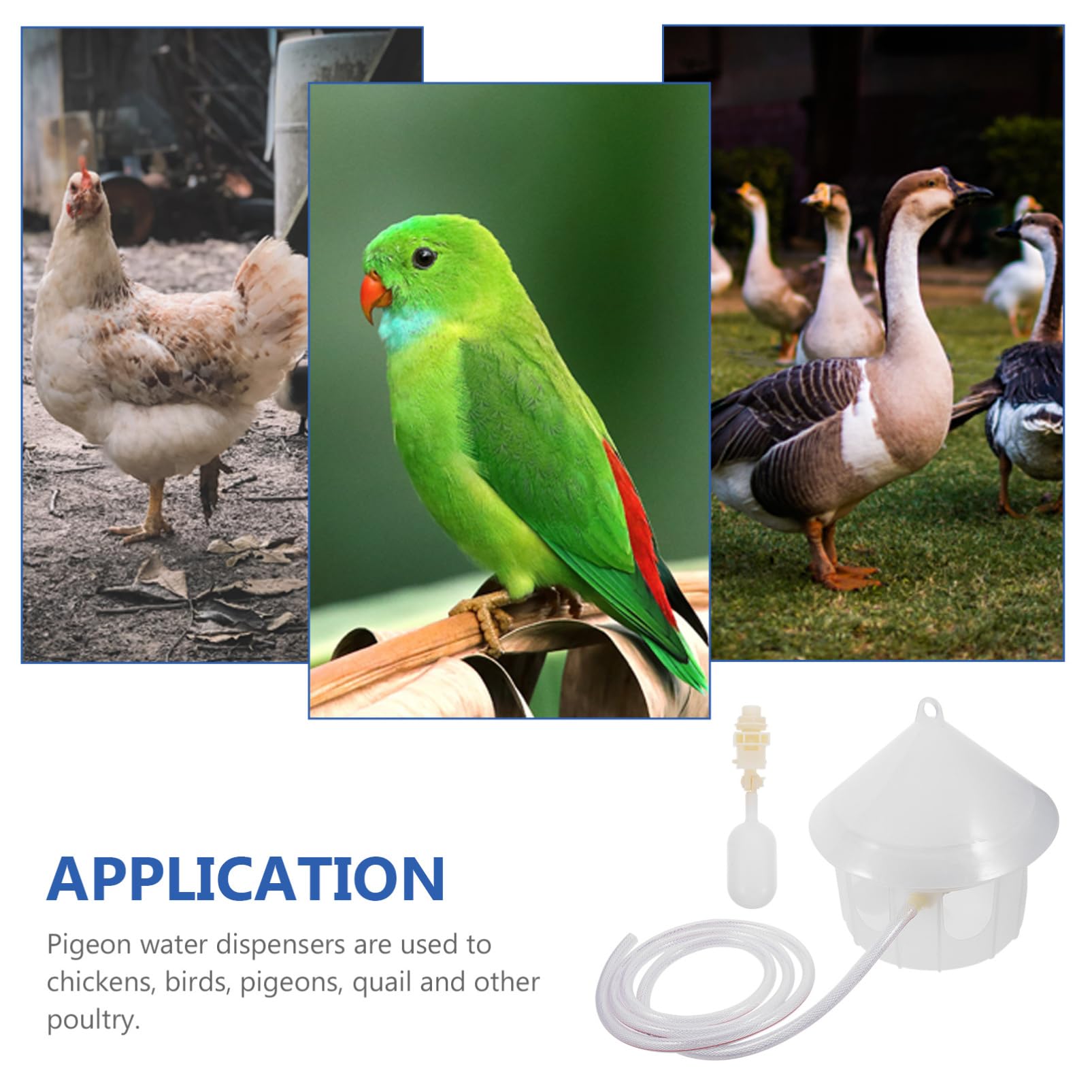 Toddmomy Bebedero para Palomas Automático De Plástico Comedero para Jaulas De Pájaros Suministros para Aves Adecuado para Criaderos De Palomas y Codornices