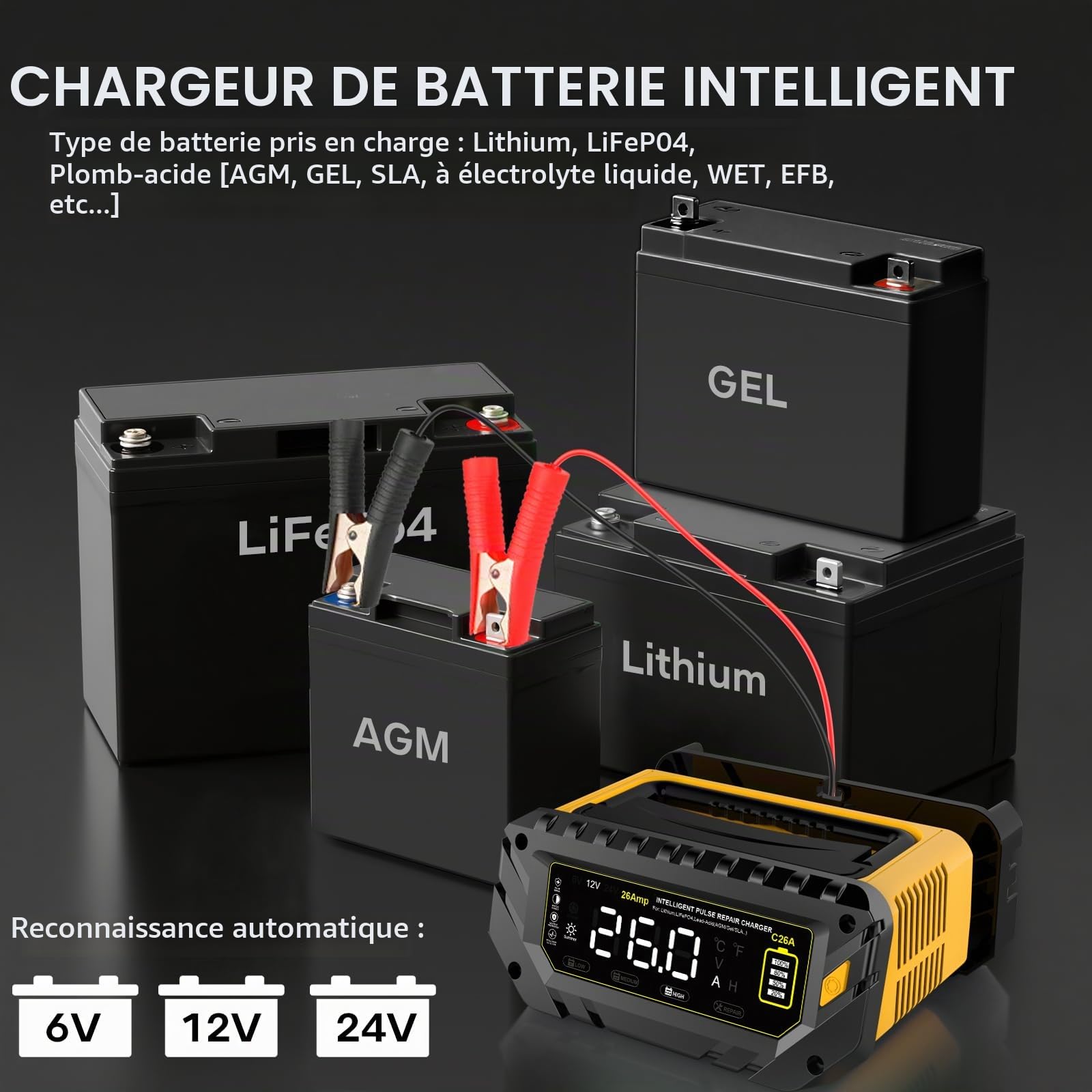 Haistio Chargeur intelligent 26A, 6V/12V/24V, écran LCD, entretien, charge d'entretien et sulfatation pour AGM, lithium, LiFePO4, acide plomb (moto, camping-car)
