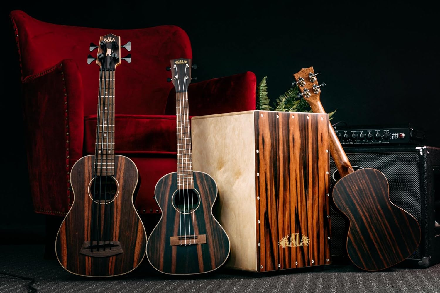 Striped Ebony Acoustic-Electric U•BASS® Rosewood Update