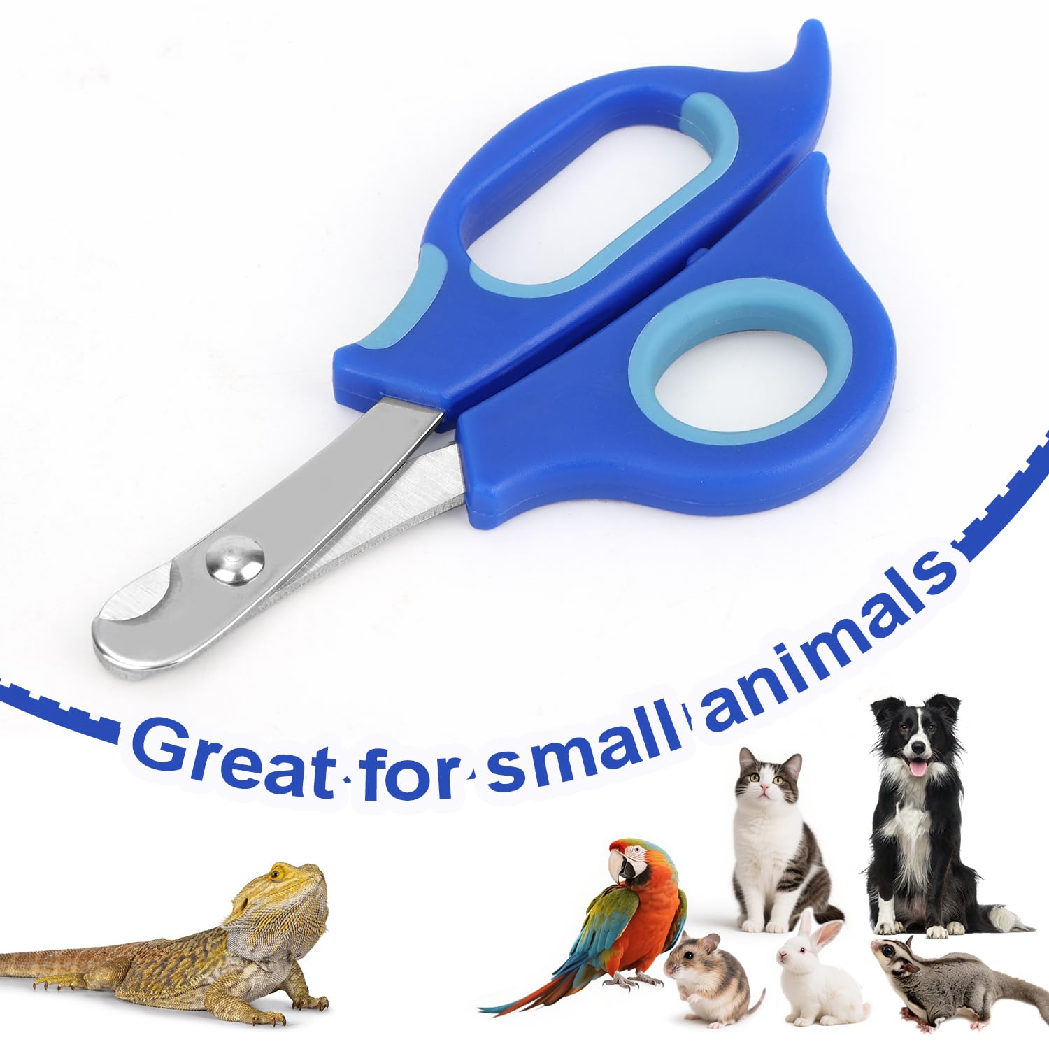 BOXOB Coupe-Ongles pour Dragon Barbu, Coupe-Ongles Orteils en Acier Inoxydable Outil de Toilettage Professionnel Reptiles avec Bords Inclinés Précis pour Petits Reptiles