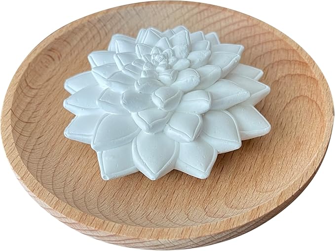 Cute Succulent Ceramic Essential Oil Diffuser, Non Electric, Passive