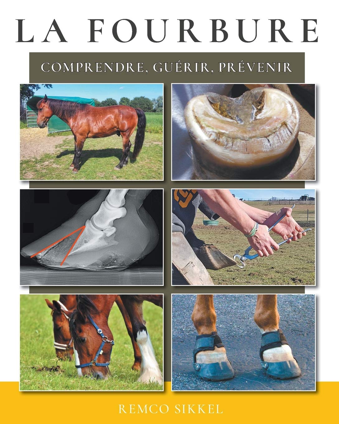 La fourbure: comprendre, guérir, prévenir