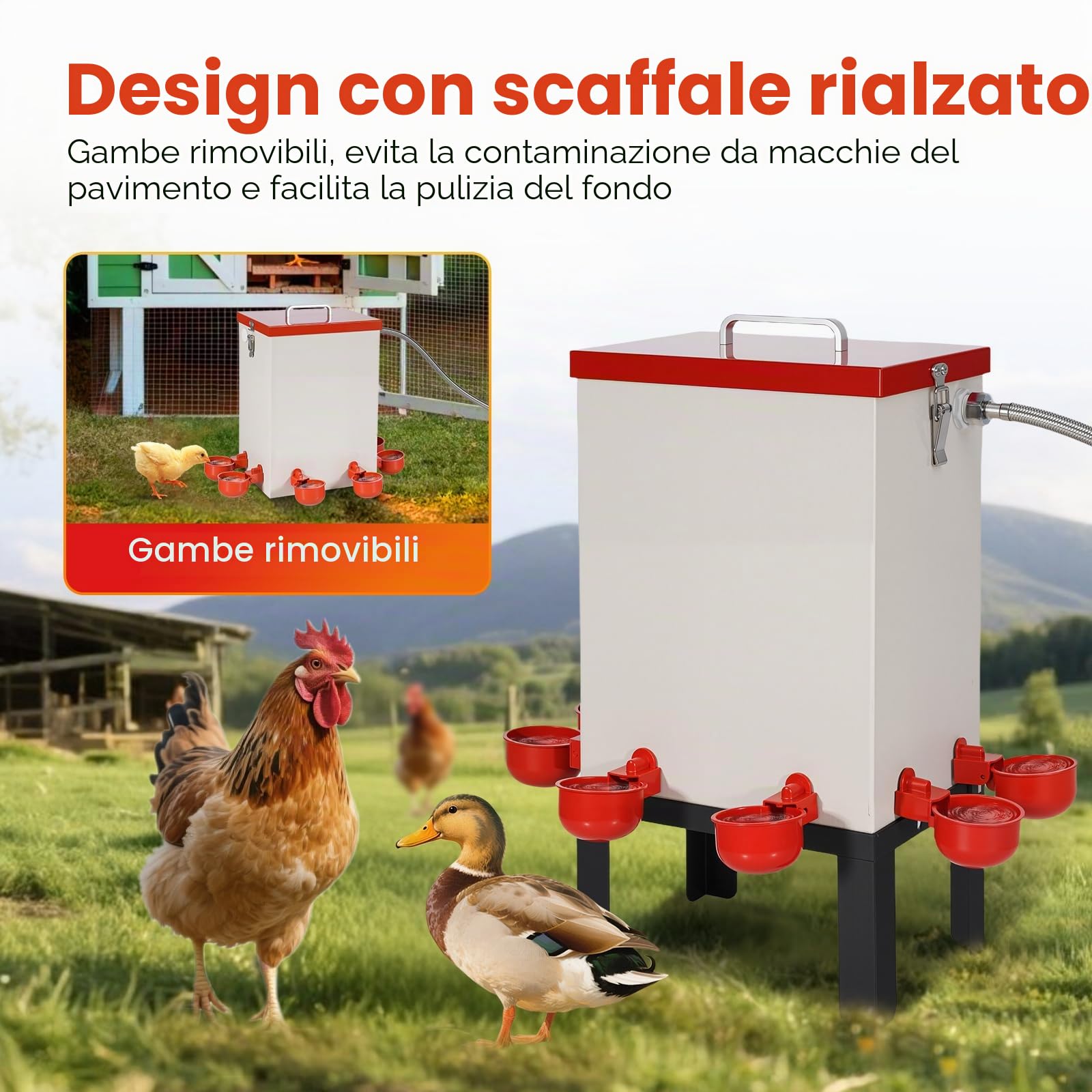 Abbeveratoio Automatico per Polli da 12L Distributore d'acqua per Pollame in Acciaio Inossidabile con Valvola Tazze d'acqua e Supporto Alimentatore per Acqua per Pulcini Anatre Oche Tacchino