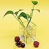 Product Photo 6