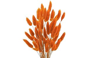 Uieke 17’’ Natural Dried Orange Flowers