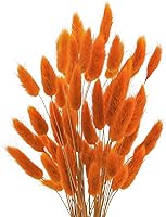 Uieke 50pcs 17'' Orange Natural Dried Bunny Tails Lagurus Ovatus Pampas Grass for Boho Wedding Fall Decor Vases Centerpieces