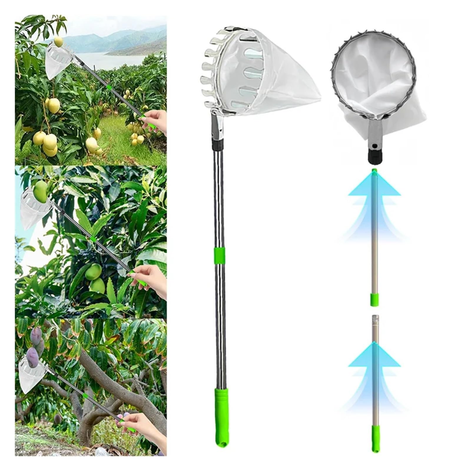 Cueilleur de Fruits Poteau télescopique de cueilleur Fruits en Acier Inoxydable 4M