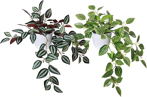 Plantas falsas, plantas artificiales de sandía de peperomia sintética de 15 pulgadas para decoración de interiores y exteriores, plantas colgantes