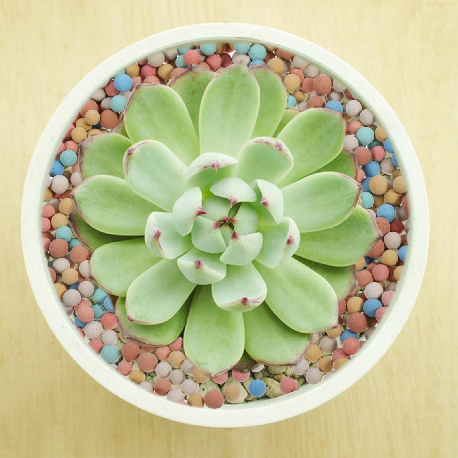 Blähton 2 Beutel 1000g Ton für Bonsai und Pflanzen Dekoration