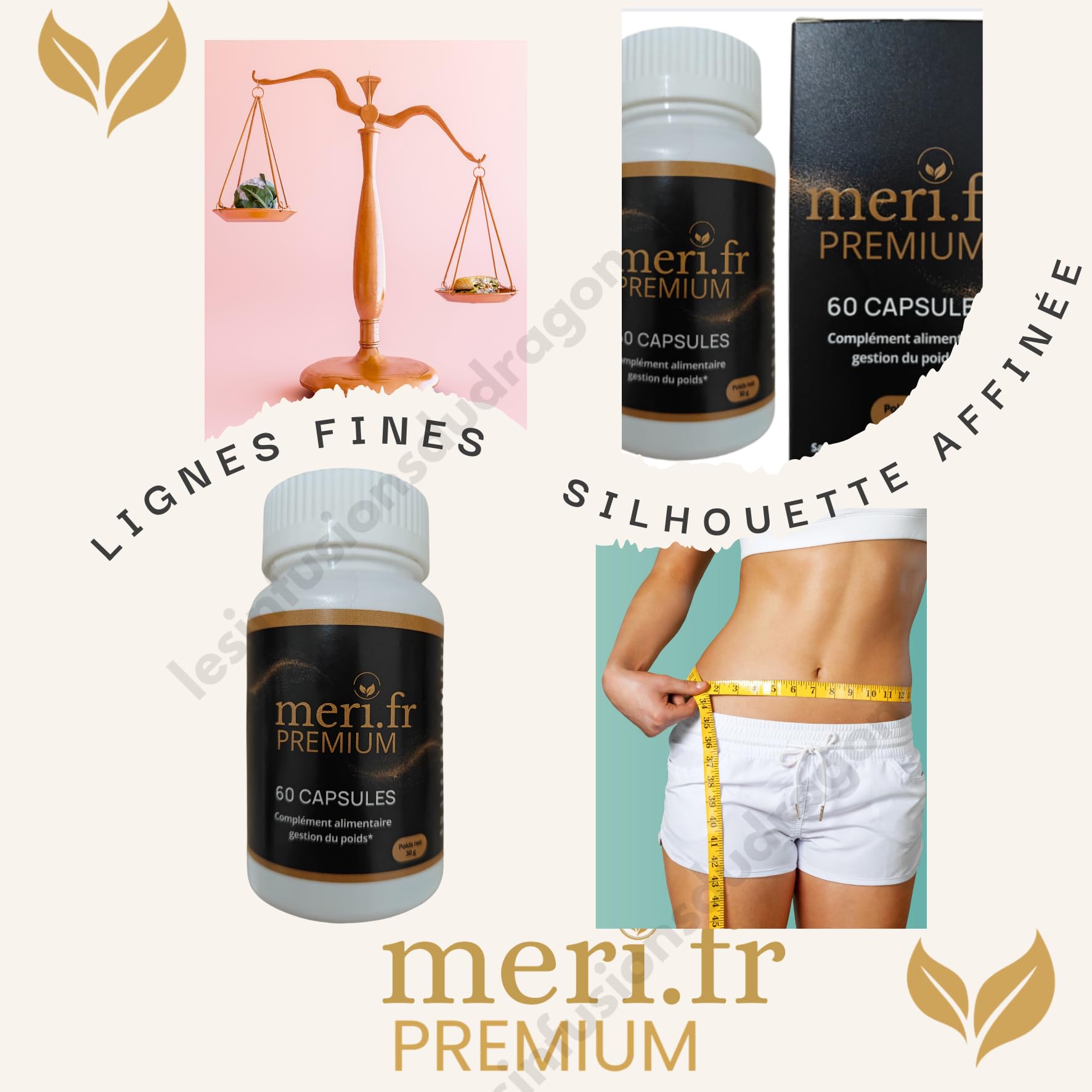 Meri.fr PREMIUM – Nouvelle Formule Efficace à la L-Carnitine | 60 Gélules Naturelles | Aide au Contrôle de l’Appétit & Métabolisme des Graisses | Expédié depuis la France