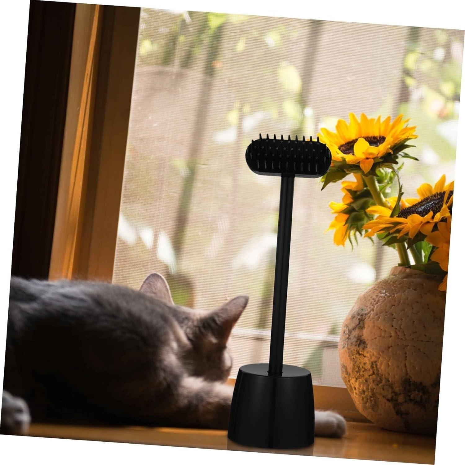 POLGDW 3 Sets Hair Brush Cat Massage Brush Cat Grooming Massager Pet Massaging Brush Self Cleaning Brush for Dogs Pet Grooming Brush Cat Face Cat Grooming Comb The Cat Abs Pet Brush