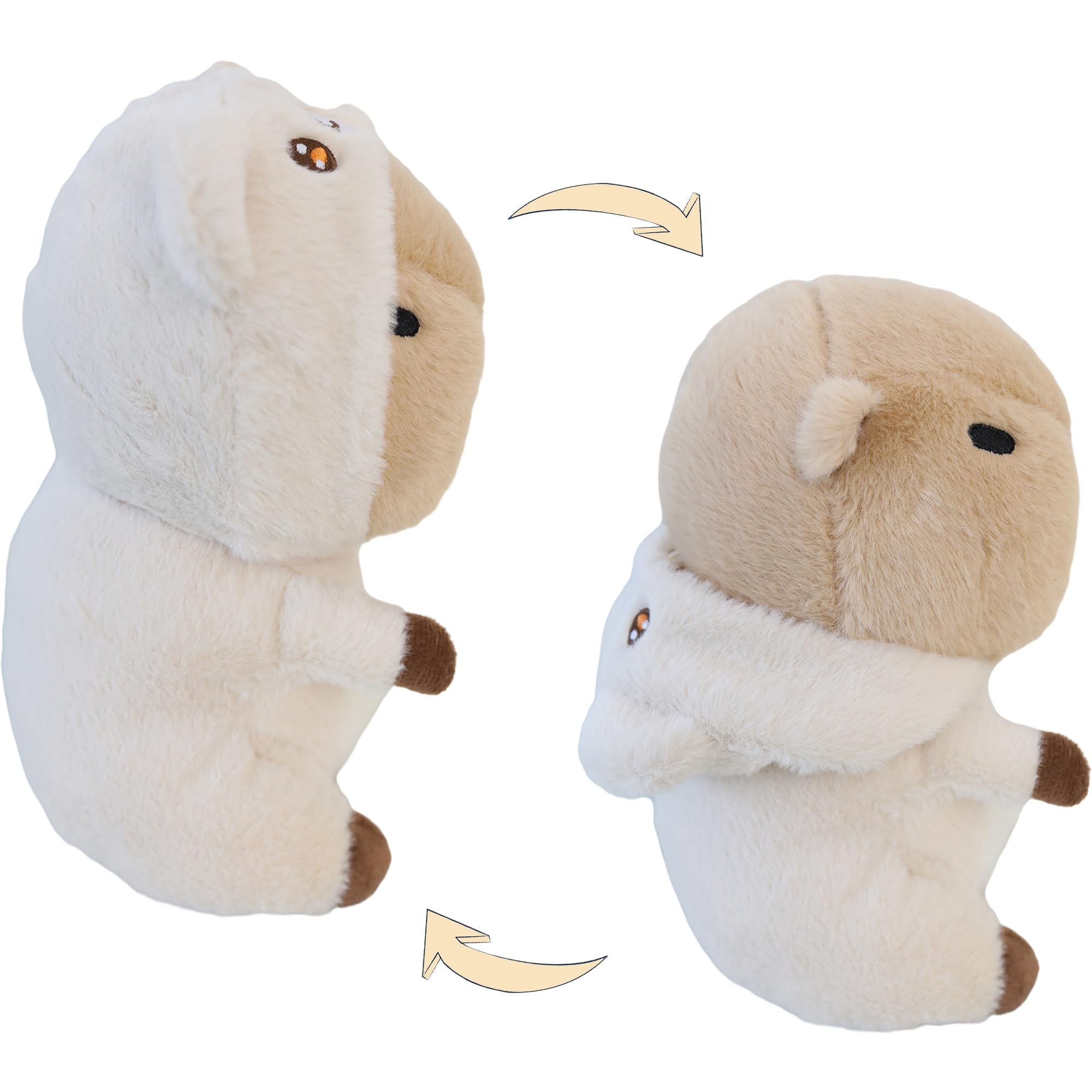 Capybara - Image 4
