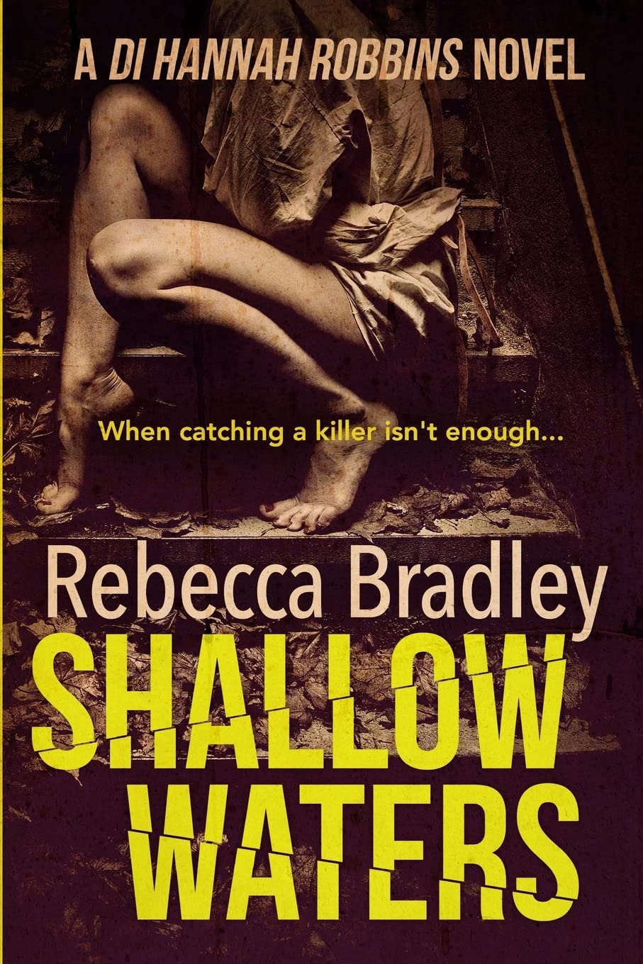 Shallow Waters: DI Hannah Robbins #1: Volume 1