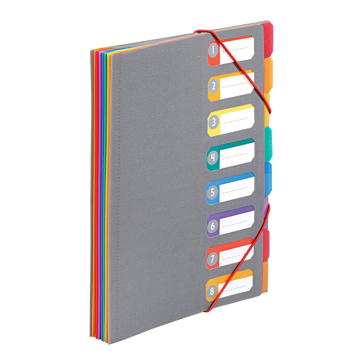 Viquel - A4 Document Folder with 8 compartments Rainbow Touch
