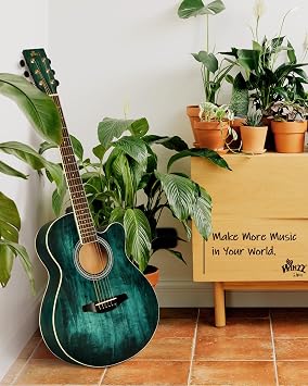 Winzz 40 Inches Acoustic Steel-string Guitar Beginner, Elegant Unique Color Design (Blue-green)