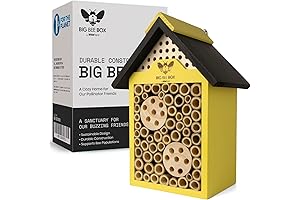 Bee-utiful Bee Nesting Box: A Haven for Mason Bees