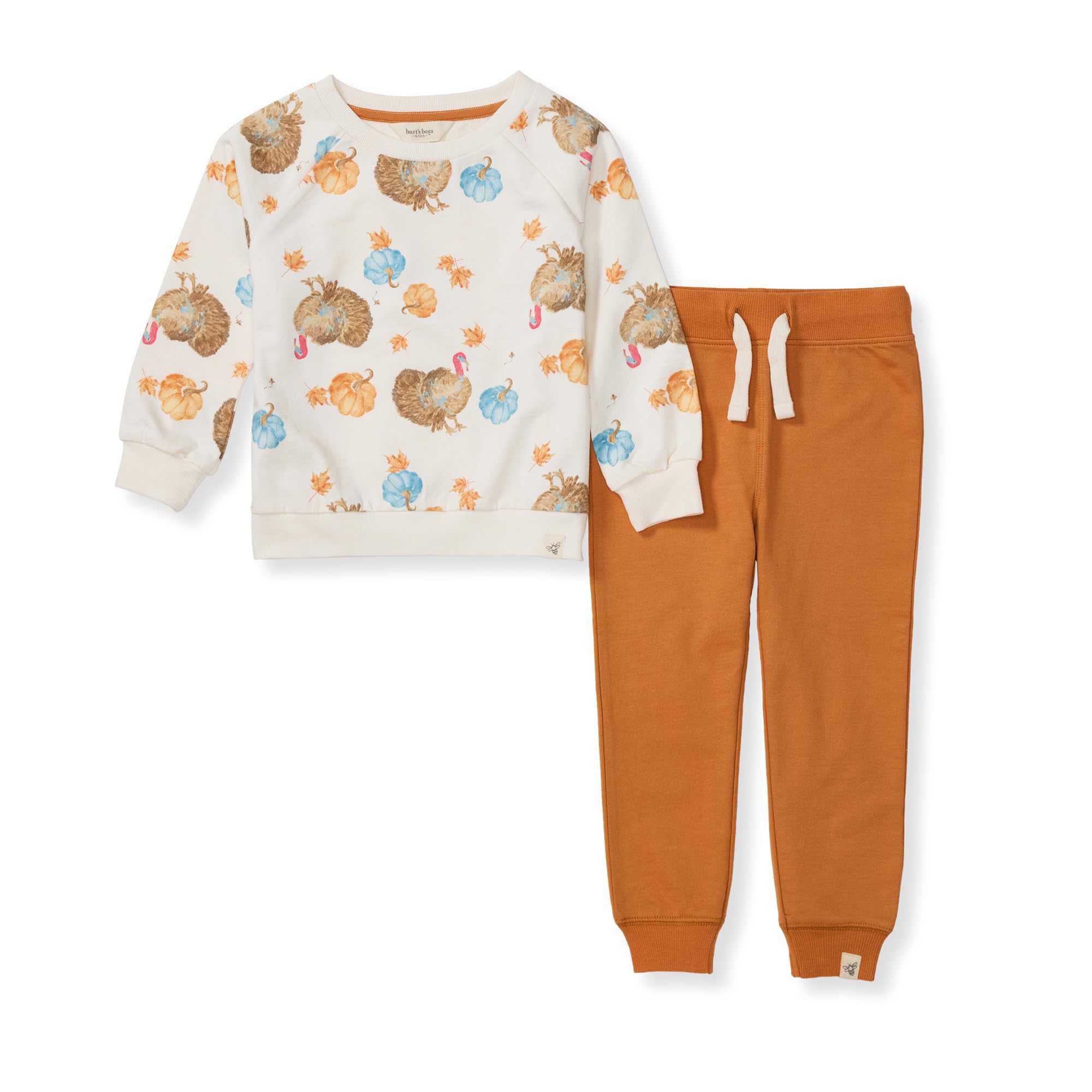 Burt's Bees Baby Conjunto de camisa y pantalón para niños, paquete de camiseta e inferior de manga larga, 100% algodón orgánico