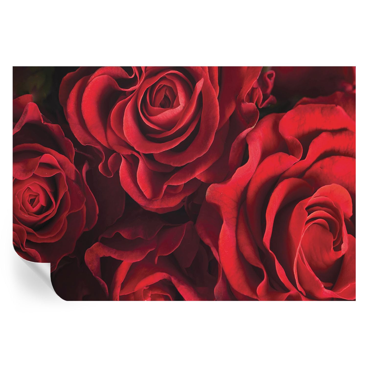 Papel pintado de rosas rojas vinilos decorativos dormitorio