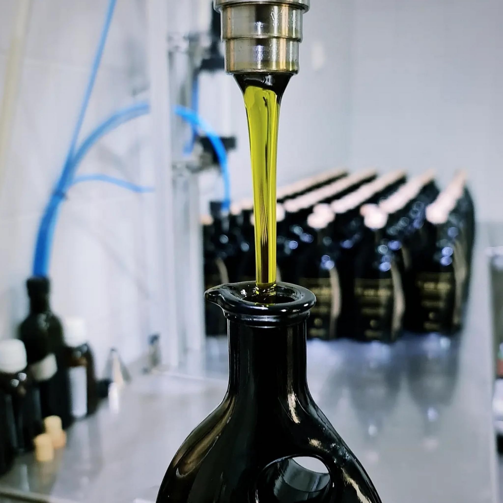 PAMAKO Bio Olivenöl Natives Extra 500ml Monovarietal 100% Tsounati — Griechisches Olivenöl Kreta, kaltgepresst — 2081 mg/kg Polyphenole hochphenolisch — 20 Goldmedaillen NYIOOC LODO HYPERVOO