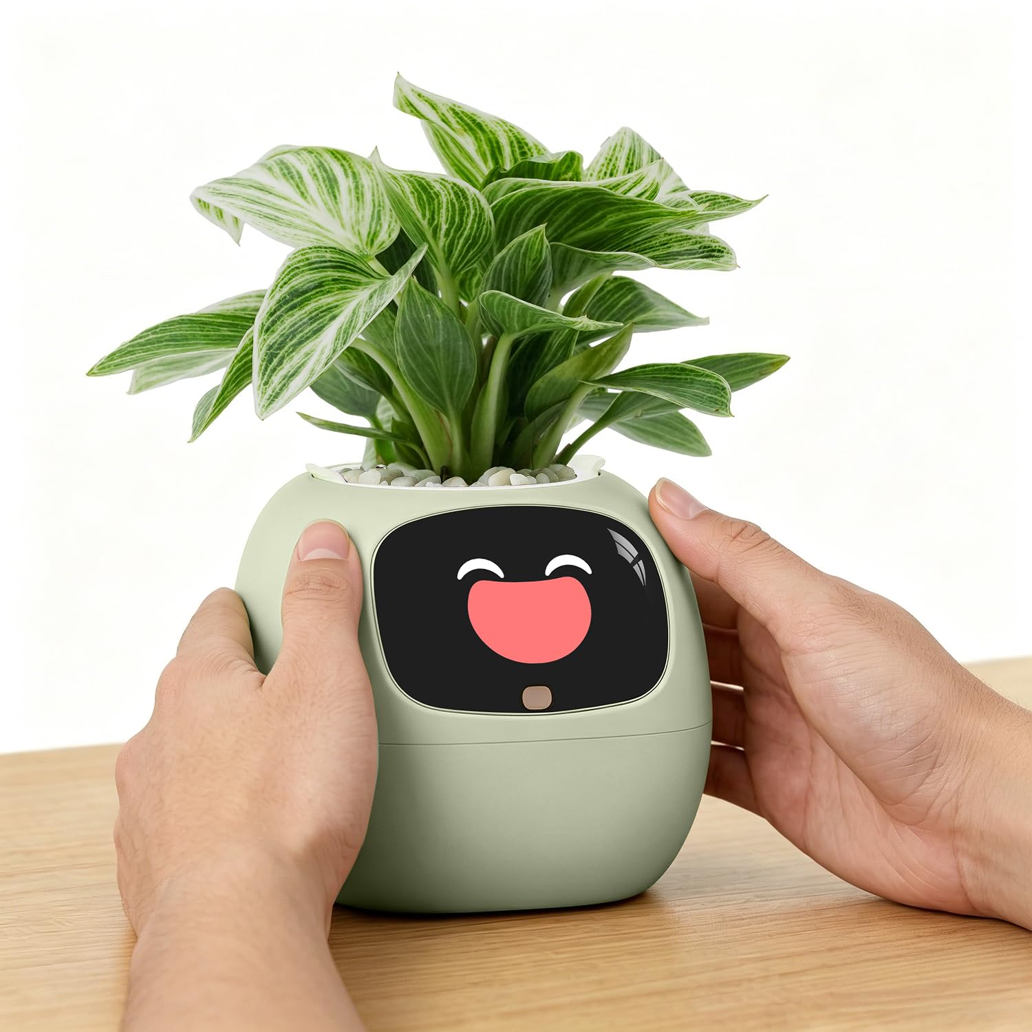 PLANTSIO Ivy AI Desk Companion