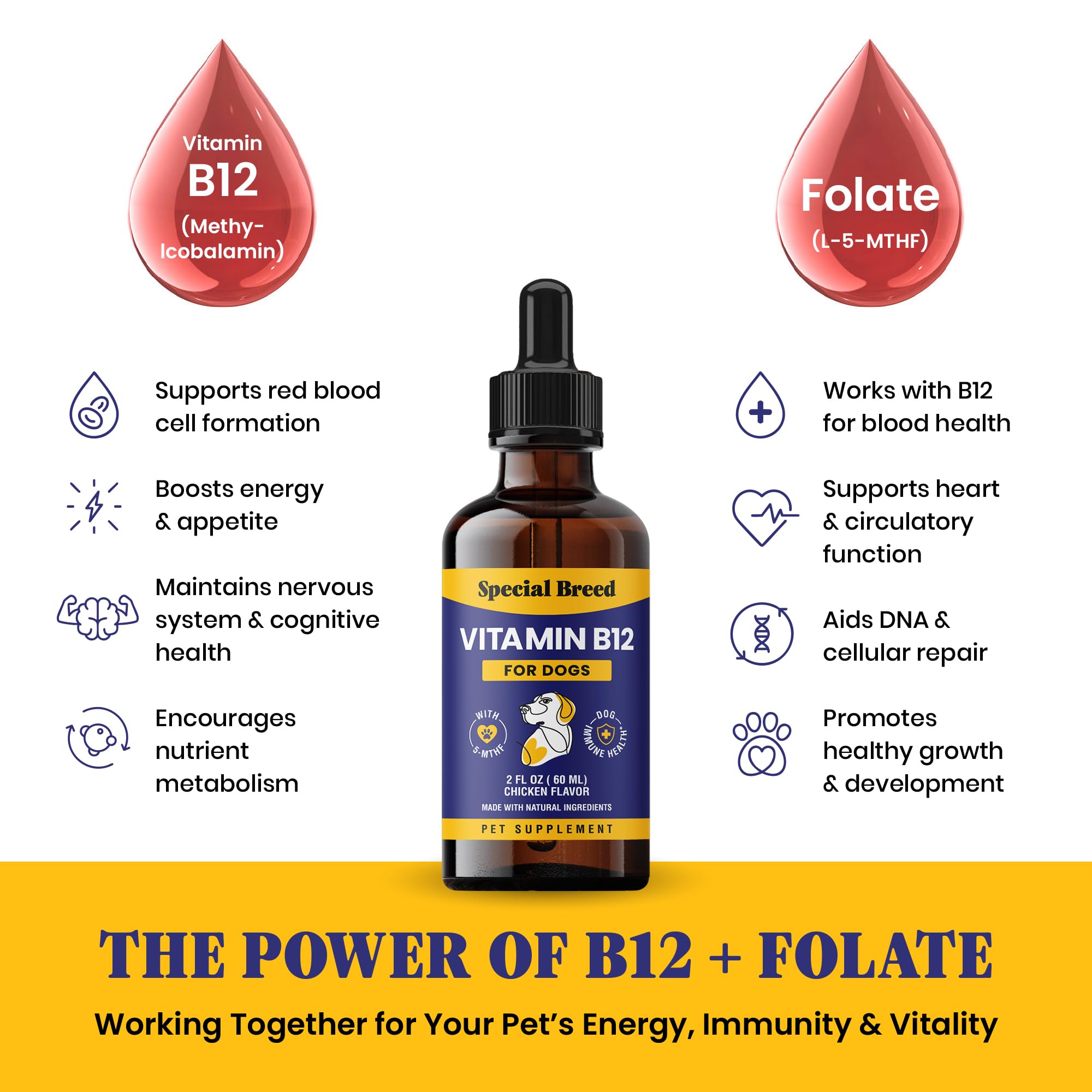Special Breed Liquid Vitamin B12 for Dogs – Methylcobalamin and 5-MTHF – Boosts Energy, Appetite, Mood & Immune System Support, Easy-to-Use Dropper - Chicken Flavor, 2 fl oz — Amazon image 5