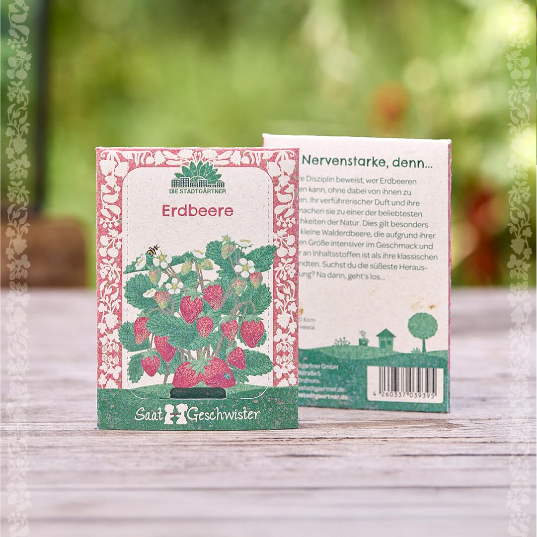 tomaten saatgut bestellen Saatgut Tomaten-Kollektion (x4) - Collection 4 tomates : Rose de Berne,  Roma, Merveille des marchs, Sw