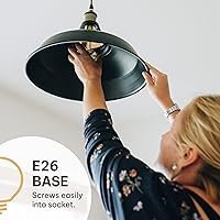 Vista 6 de HUDSON BULB CO. Bombillas Edison incandescentes vintage de 60 W