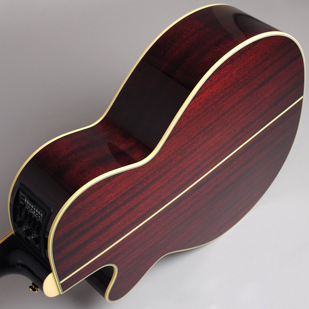 Amazon | Takamine DMP551C WR エレアコギター 500シリーズ (タカミネ