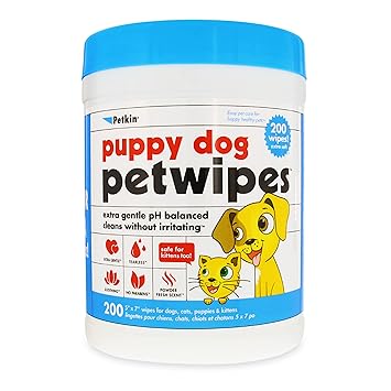 Petkin Extra Mega Valu Puppy Dog Petwipes 200 ct, Green